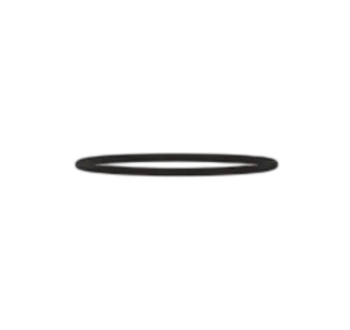 O Ring - Seating Ring